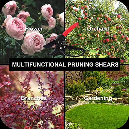 Premium Germany Pruning Shears (Reddish Black)
