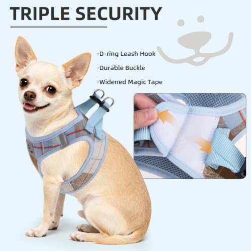Dog Harness Collar and Leash Set No Pull for Small Medium Sized (Light Blue / S (CHEST 14.5"-16"))
