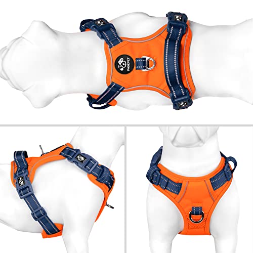 No Pull Dog Harness (Orange Base & Blue Straps / Medium)