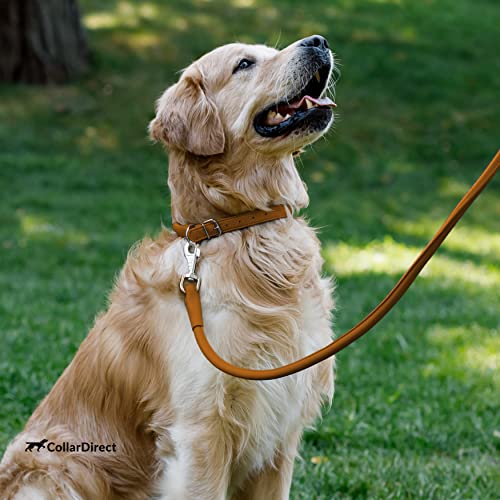 Tangle Free Rolled Leather Dog Collar (Cinnamon / XS)