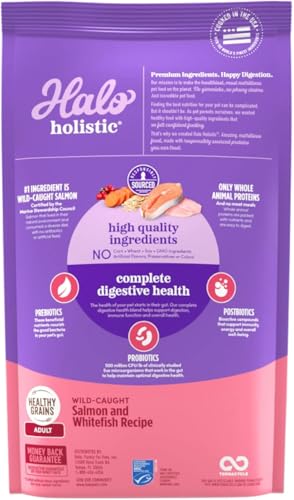 Holistic Dry Cat Food
