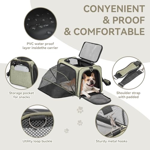 Large Expandable Cat Carrier for Travel (19.0"L x 12.0"W x 12.0"H / Green)