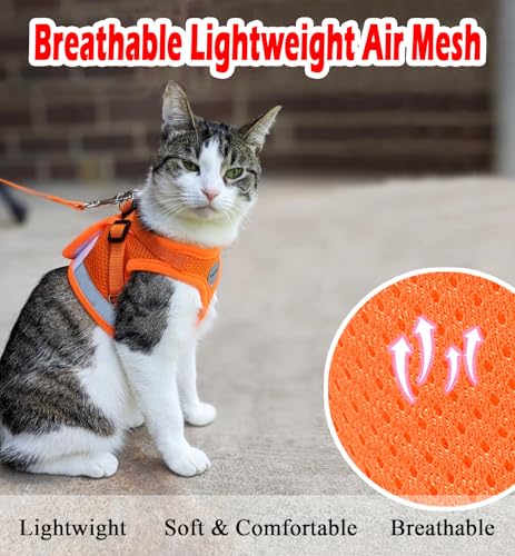 Cat Harness and Leash Set (M (Chest: 12" - 14") / Orange)