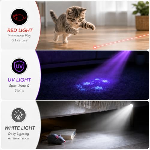Interactive Cat Toy with Class 1 Laser Pointer