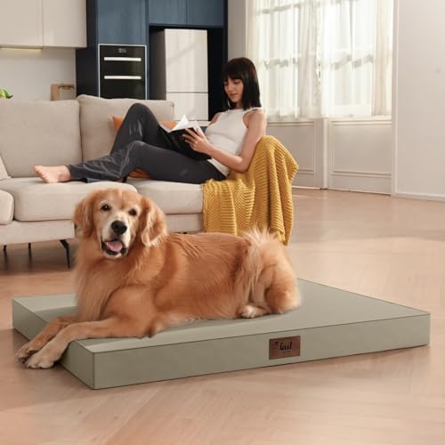 Jumbo Waterproof Orthopedic Dog Bed for Extra Large Dogs (khaki / 53.0"L x 36.0"W x 4.0"Th)