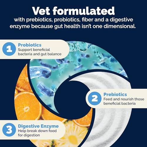 Glandex Cat Probiotic Powder (4oz)