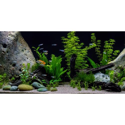 Underwater Aquatic Fish Tank Background Stone Aquarium Backdrop 36x24 in (36x24in/90x60cm)