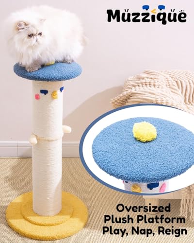 Cute Cat Scratching Post