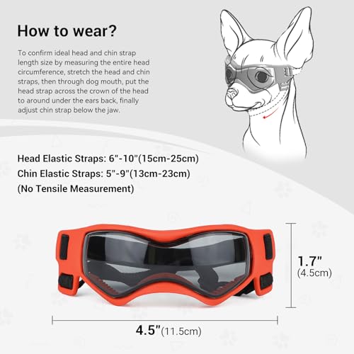 Small Dog Goggles for Small Breed UV (Small / Orange)