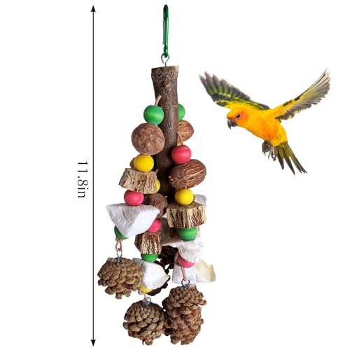 Parrot Chew Toys