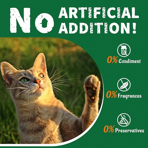 Cat Grass Treats with Salmon Oil 13.4 OZ (13.4 Ounce (Pack of 1))