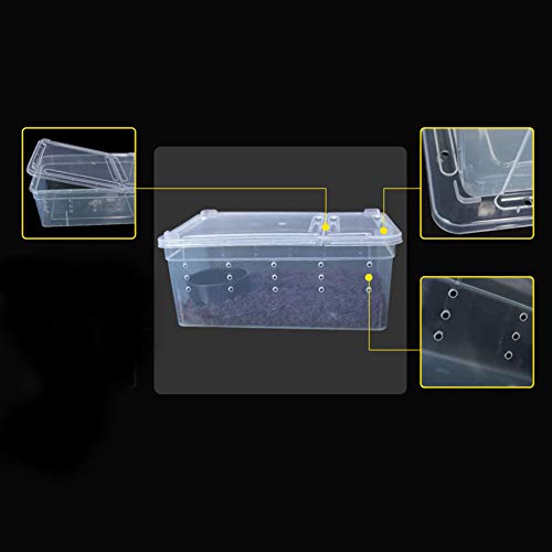 Portable Reptile Terrarium Habitat for Mini Pet Houses Breathable Holes Stackable Container (1PCS-Clear-XS)