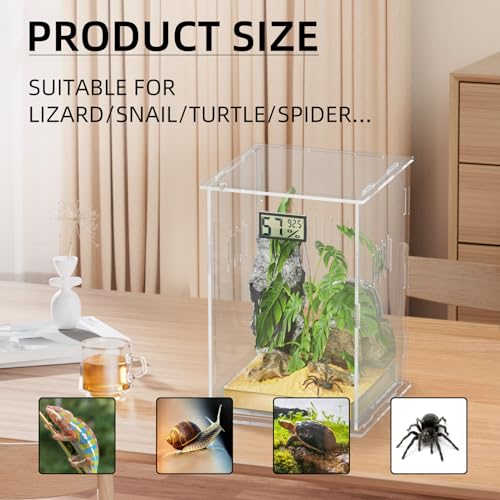 Reptile Terrariums (Arboreal--L (Tray))