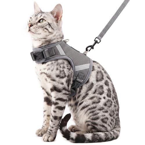 Cat Harness and Leash Set (Grey / Small)