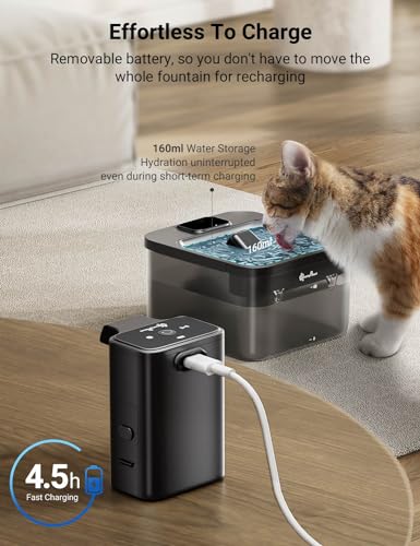Cat Water Fountain Cordless (Black / Standard)