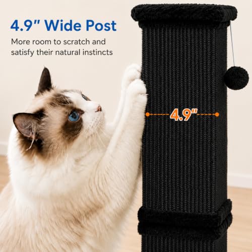 Cat Scratching Post for Indoor Cats (Pure Black)