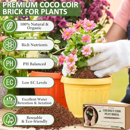 6 Pack Coco Coir Bricks for Plants (6 Pack)