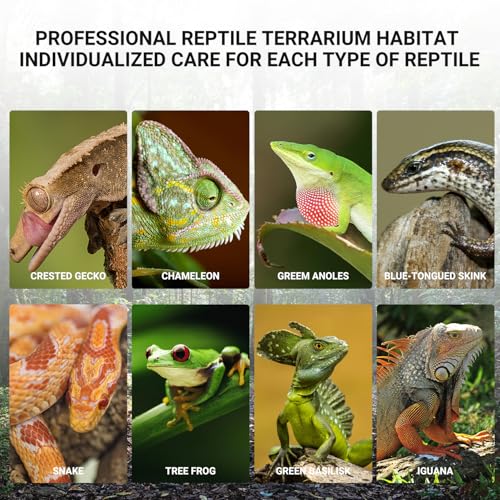 18" x 18" x 24" Glass Reptile Terrarium