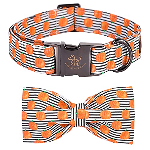 Halloween Dog Collar (Pumpkin / Medium (Pack of 1))