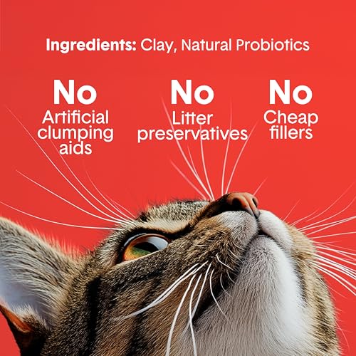 Boxie Extra Strength Clumping Cat Litter Multi Cat 35 Day Odor Control 16lb (16 lb)