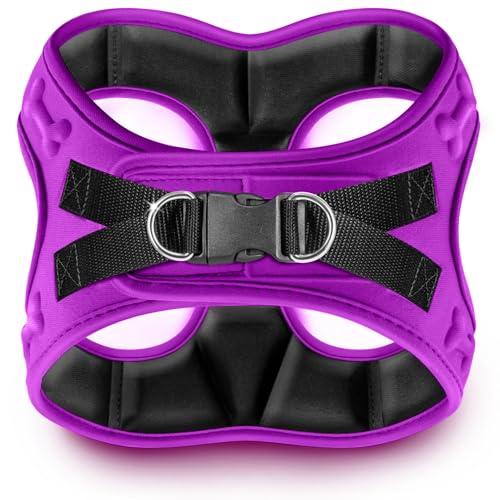 Comfort fit Step (XXXS (Chest 10"-12") / Purple)