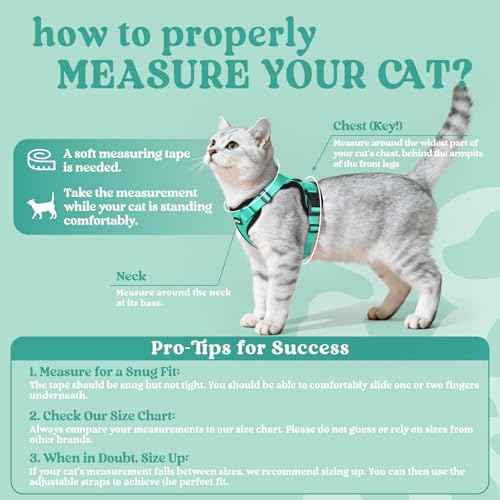 Cat Harness and Leash Set (M / Emerald)