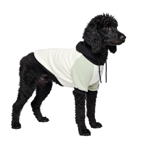 Dog Hoodie Buttery (Olive Cream / 3XL)