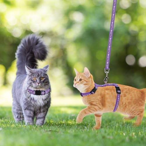 Cat Harness with Leash and Collar Set (Medium / Purple)