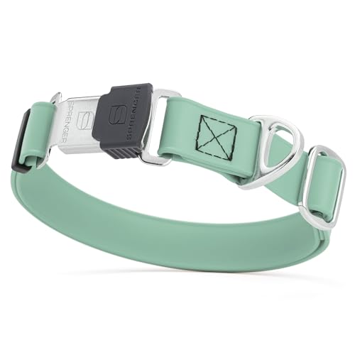 Biothane Waterproof Dog Collar with Herm Sprenger Black Stainless Steel Quick Release Buckle (W 3/4" x L 12"-19" / Sage Green)