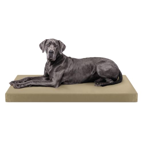 Tough Ripstop Orthopedic Crate Bed (XX-Large (53" L x36" W x 4" H) / Sage Green)