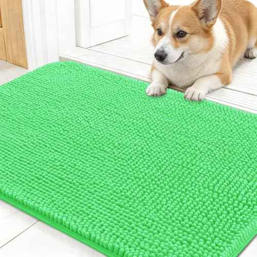 Dog Door Mat for Muddy Paws 24x16 (Mint Green / 24" X 16")