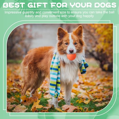 24 Pieces Rubber Dog Tennis Balls for Dog Colorful Catching Pet Balls for Fetch Training 2.4 Inch Interactive Bounce and Floatable Toy for Park Beach