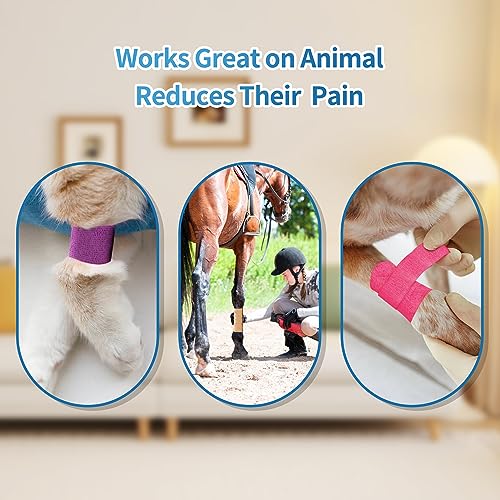 Adhesive Bandage Wrap 12 Pack Vet Wrap 4 inches x 5 Yards (Blue)
