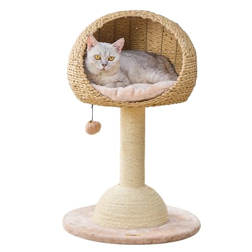 2 Level Cat Tree with Handwoven Recycled Paper Rope Baskets (Brown Beige)
