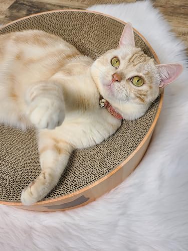 Necoichi Cat Scratcher Bowl for Indoor Cats (Regular / Oak)