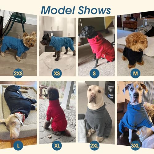 XS Dog Winter Coat (XS / Turquoise)