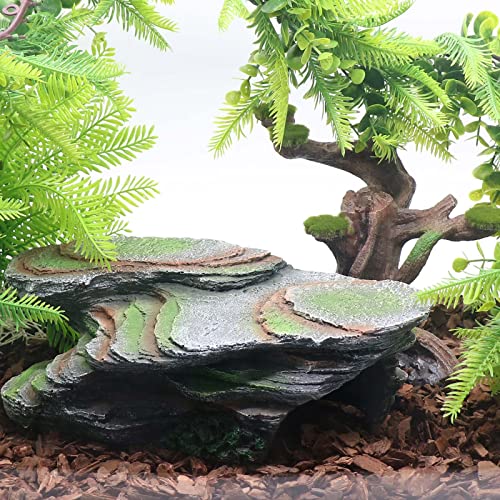 Reptile Resting Terrace Tortoise Climbing Platform Shale Scape Step Ledge (Medium-B-12*6*4)