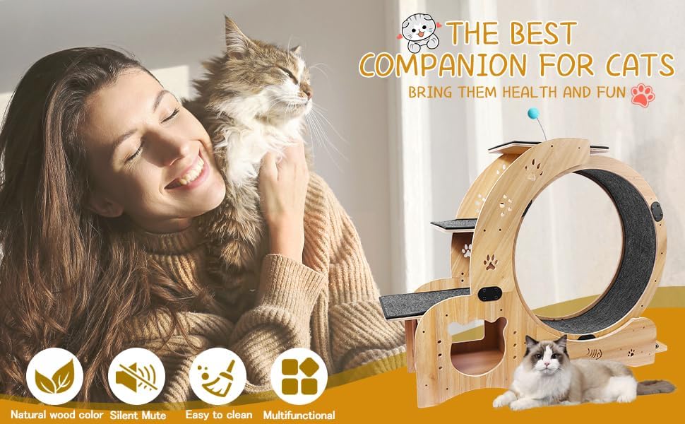 Cat Wheel 6 in