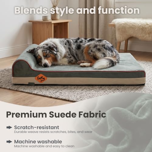 Orthopedic Dog Bed (34.0"L x 22.0"W x 5.5"Th / Dark Green)