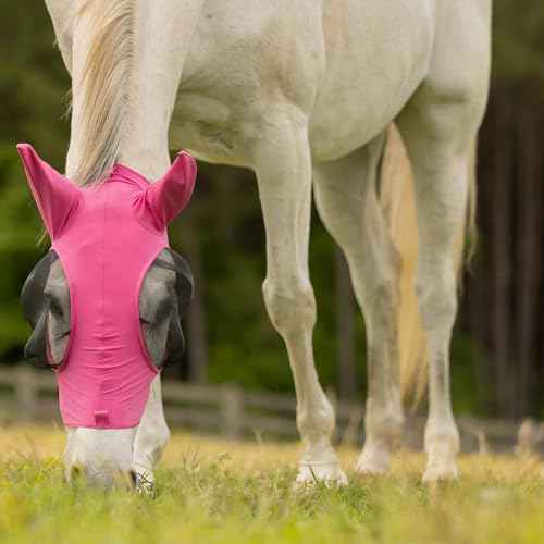 Bug Out Horse Fly Mask (Pink Flambe / Horse)
