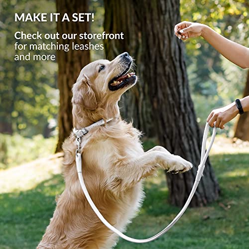 Tangle Free Rolled Leather Dog Collar (White / L)
