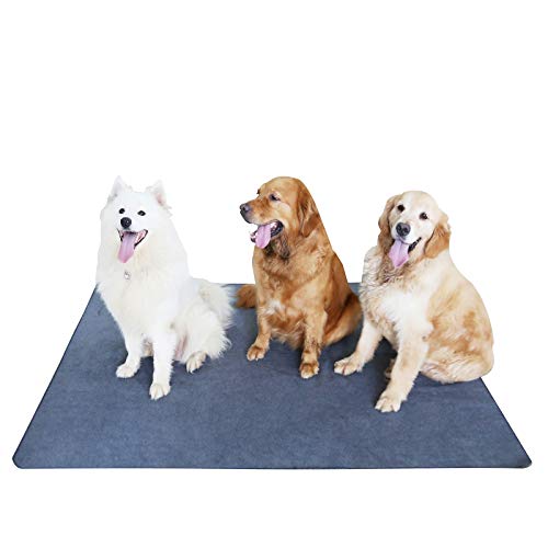 Non Slip Dog Pee Pad 65"x48" Washable (65x48 Inch（Pack of 1))