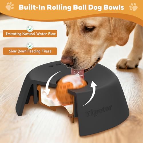 Dog Lick Bowl (black / Medium)