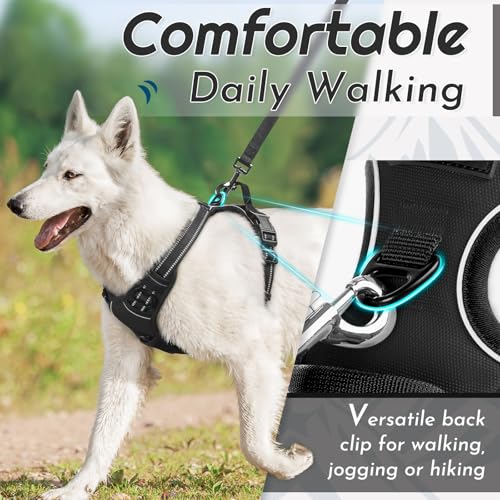 Dog Harness for Small Dogs (Small / Black)