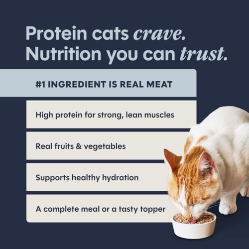 Pate Entrees Wet Cat Food (5.5 Ounce (Pack of 12))