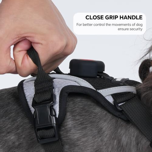 Large Cat Harness Leash Set with Airtag Holder for Kitten Outdoor Walking (Black (Holder for Airtag) / L)