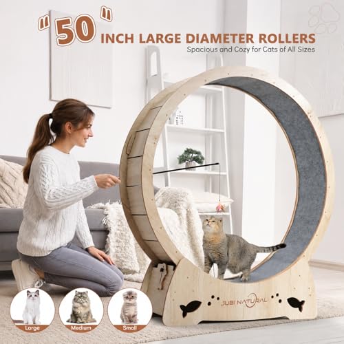 50" XL Cat Exercise Wheel (WOOD / 50")