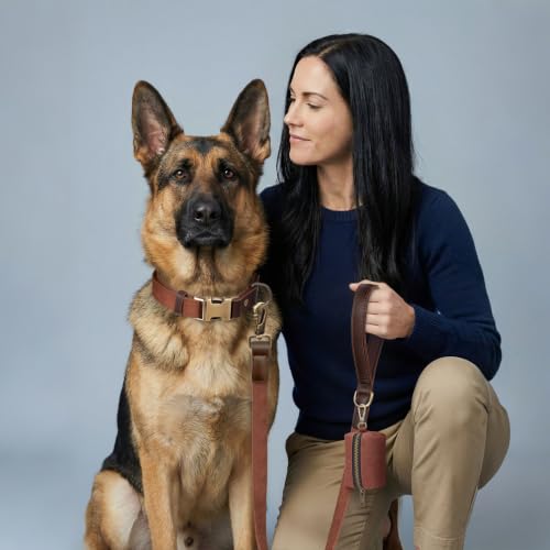 PU Leather Dog Collar for Large Dogs (Reddish Brown / XL: Neck 20-27", Width 1¼")