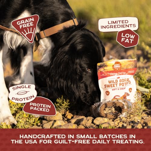 Healthy Soft Dog Treats Variety Pack (5 Ounce (Pack of 4))
