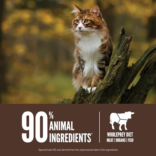 Grain Free WHOLEPREY Dry Cat Food Regional Red Recipe 4lb Bag (4 Pound (Pack of 1))